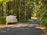 A white Scamp RV rental trailer is parked on the side of a quiet, sun-dappled forest road, ready for adventure.