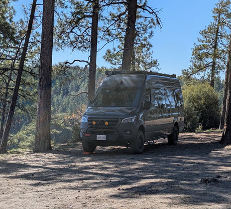 A dark Mercedes Sprinter camper van, ideal for an RV rental, is parked among tall pine trees in a sunny forest clearing.