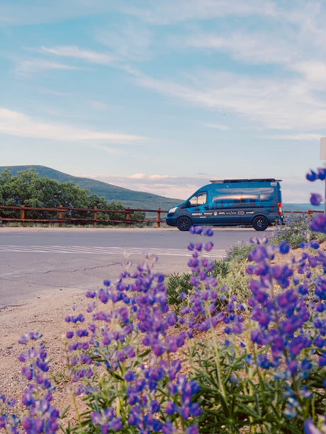 Scenic view of a dark blue RV rental van parked by purple lupine flowers, with mountains and a blue sky in the background.