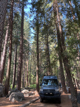 An RV rental camper van parked in a sunlit forest campsite, surrounded by tall pine trees and large rocks.