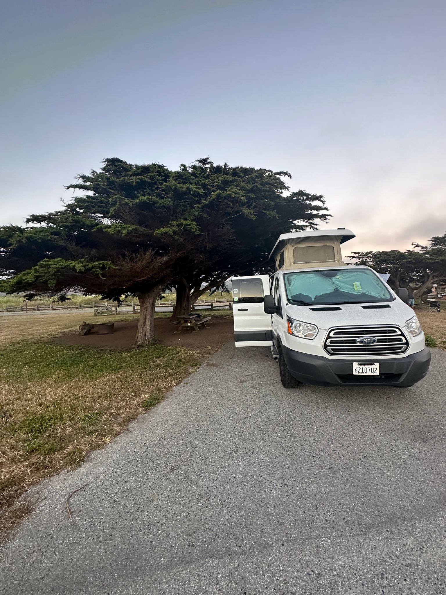 White Ford Transit pop-top campervan (RV rental) at a serene campsite under large trees, ready for adventure.