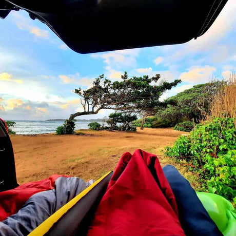 RV rental adventure: Relaxing inside with a stunning view of the ocean, sandy coast, & unique wind-bent tree.