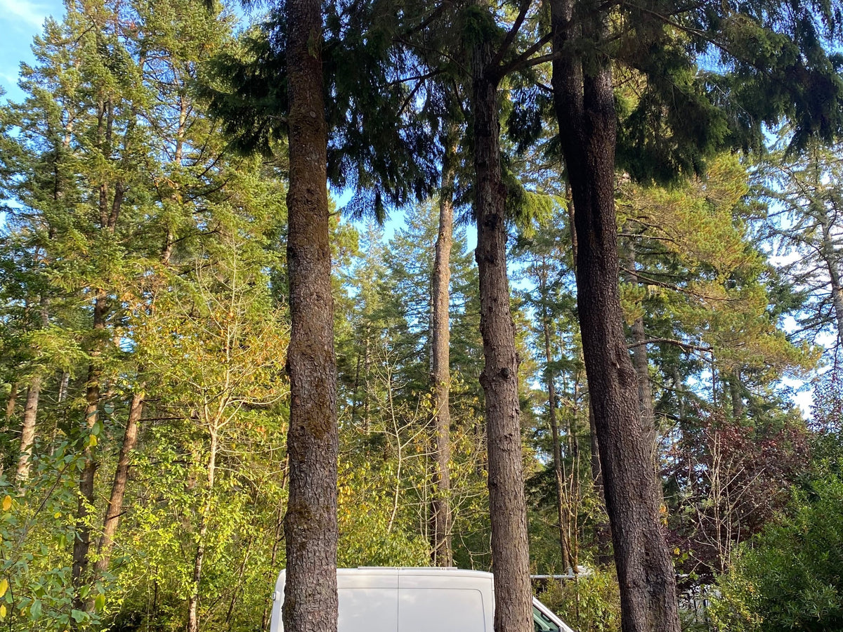  and a warm — photo 11