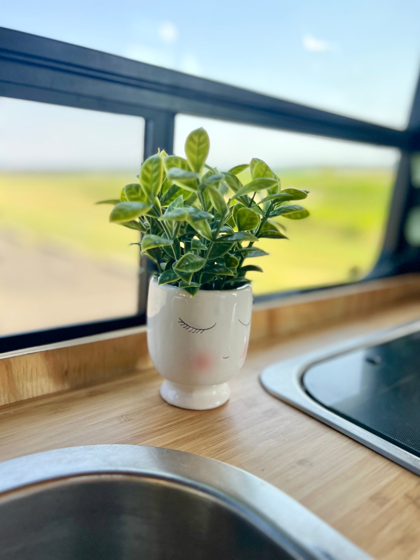 Cozy RV rental interior featuring a potted plant on a wooden counter, with a scenic outdoor view from the window.