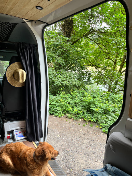 Our rv rental with a scenic rear view of lush trees & a path. A golden-brown dog relaxes, enjoying the van life.
