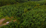 Aerial view: A white RV rental parked on a dirt path in a dense green forest, showcasing secluded nature camping.