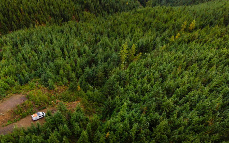 Aerial view: A white RV rental parked on a dirt path in a dense green forest, showcasing secluded nature camping.