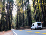 White RV rental parked on a winding road through a sun-drenched forest of tall trees. Ideal for a nature road trip adventure.