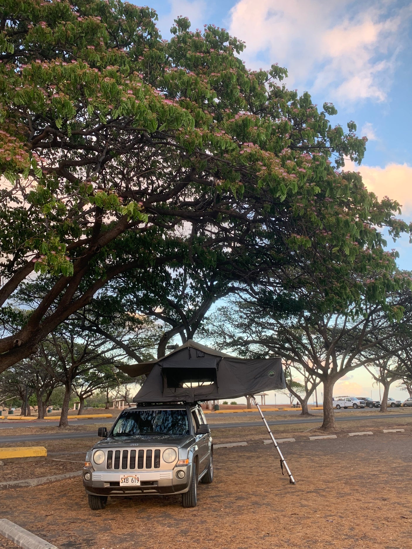 RV rental style: a grey Jeep with an open rooftop tent, nestled under large trees with pink blossoms, ready for camping.