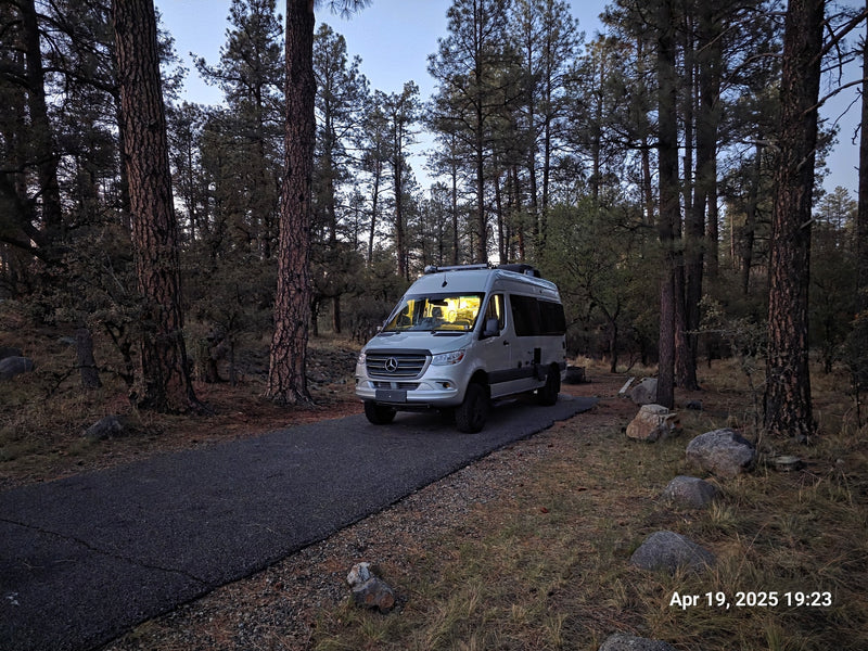  parked amidst snowy pine trees.|A silver Mercedes Sprinter van — photo 4