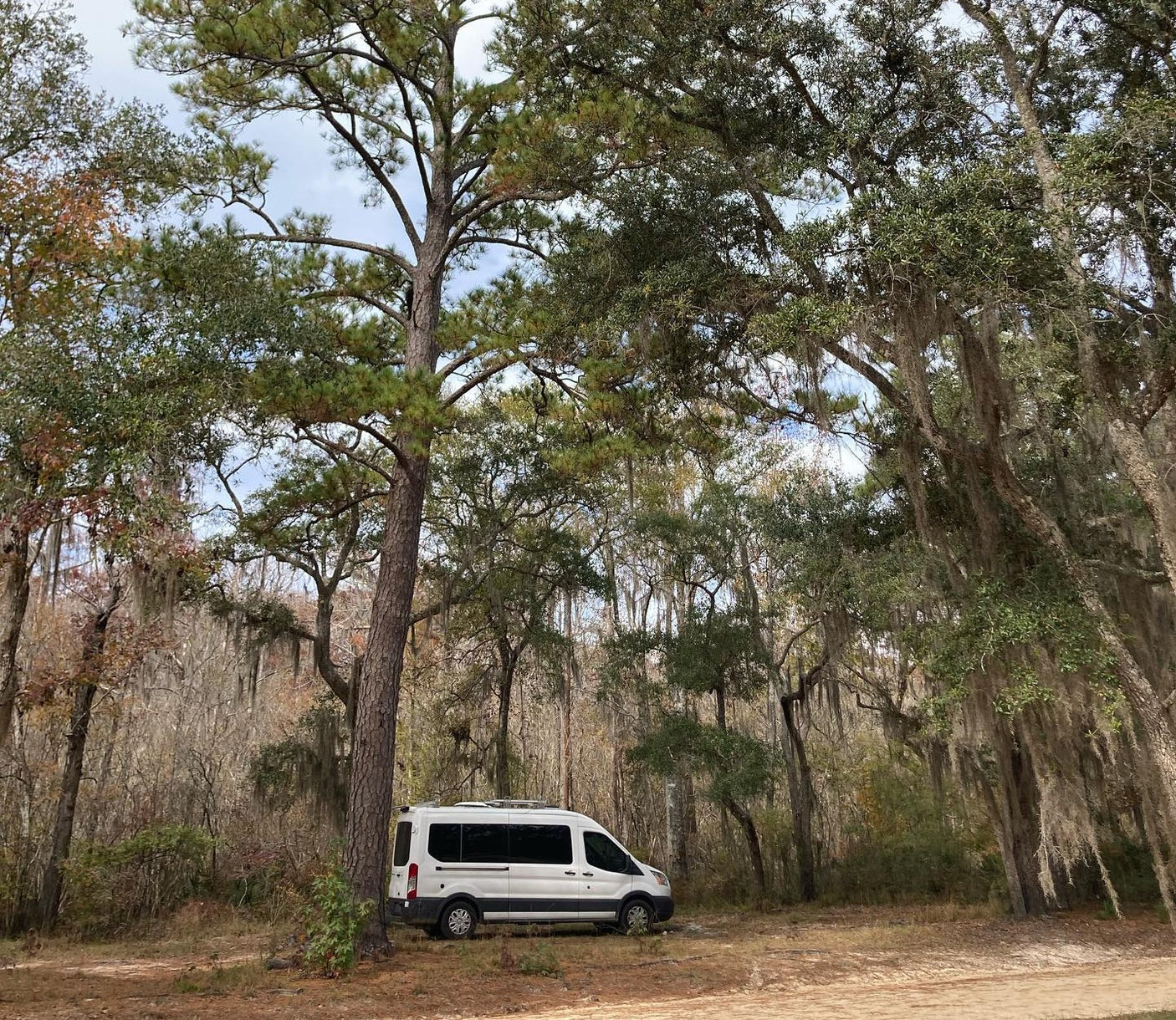 White rv rental van resting in a scenic, wooded area with moss-draped trees, perfect for nature getaways.