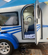 Cozy rv rental trailer with a fluffy dog inside the open door at a wet campsite, with shoes left outside.