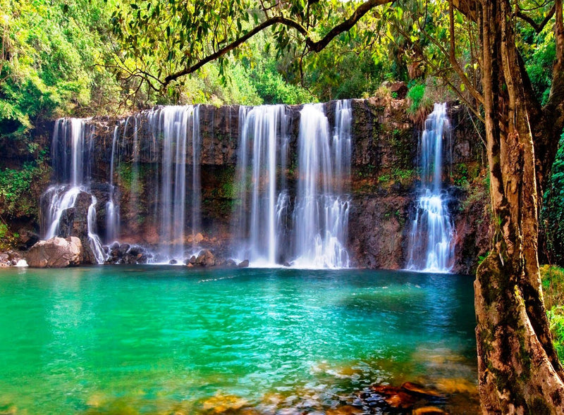 Vibrant waterfall in lush forest with turquoise pool. An RV rental is perfect for this serene nature escape. — photo 16