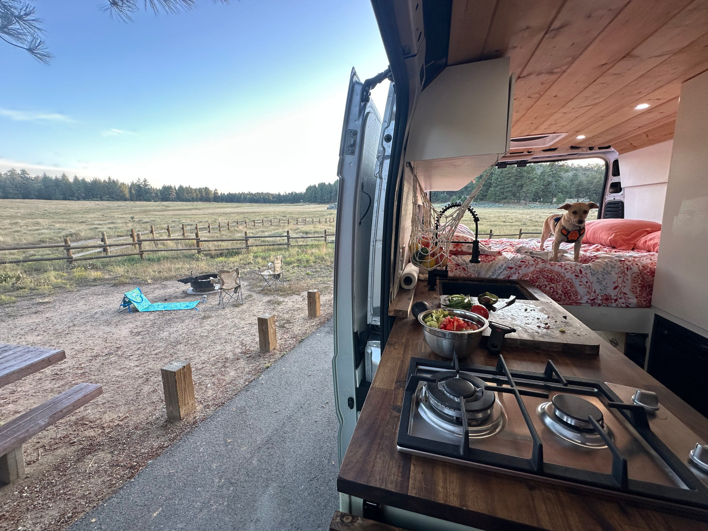Your next RV rental: Camper van kitchen with fresh salad, dog on bed, and a scenic campsite with fire pit.