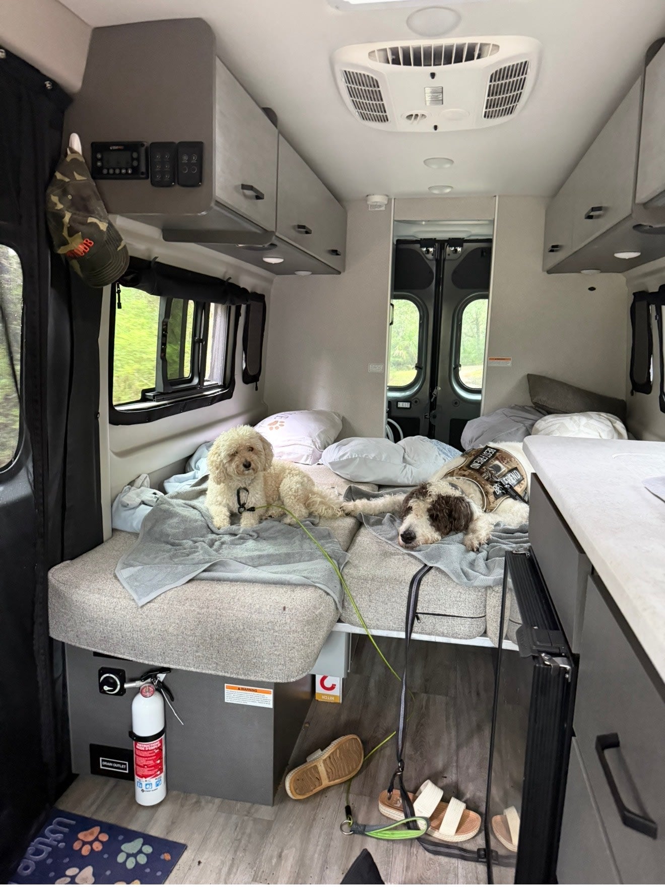 Two dogs relax on a bed in an rv rental. Overhead storage, ceiling AC, and a fire extinguisher are visible inside.