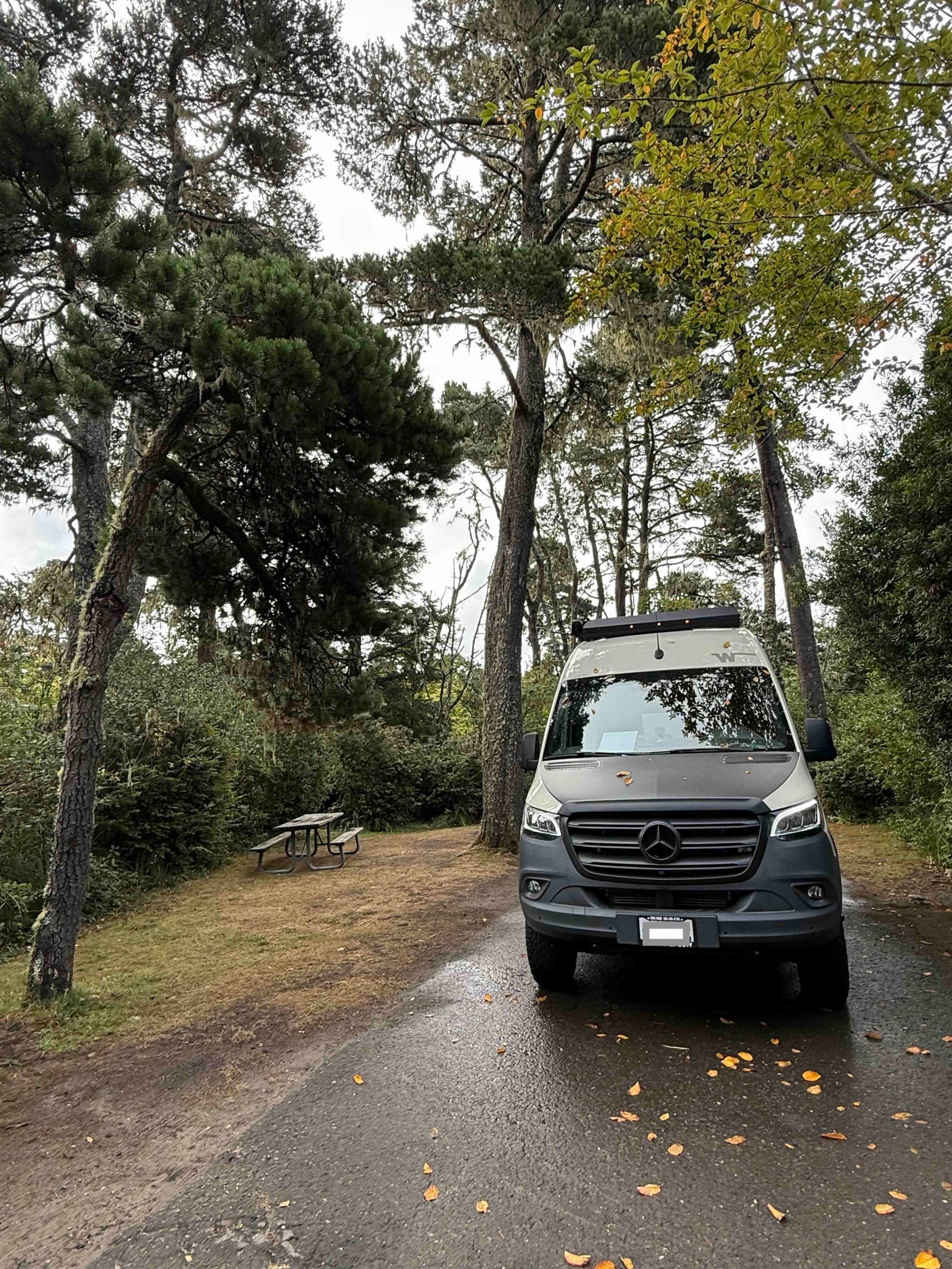 Enjoy nature with this rv rental! A modern camper van sits at a wooded campsite with a picnic table under overcast skies.
