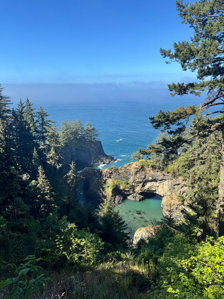 Dramatic coastal natural arch view nestled in lush forests. Ideal scenic stop for your RV rental journey.