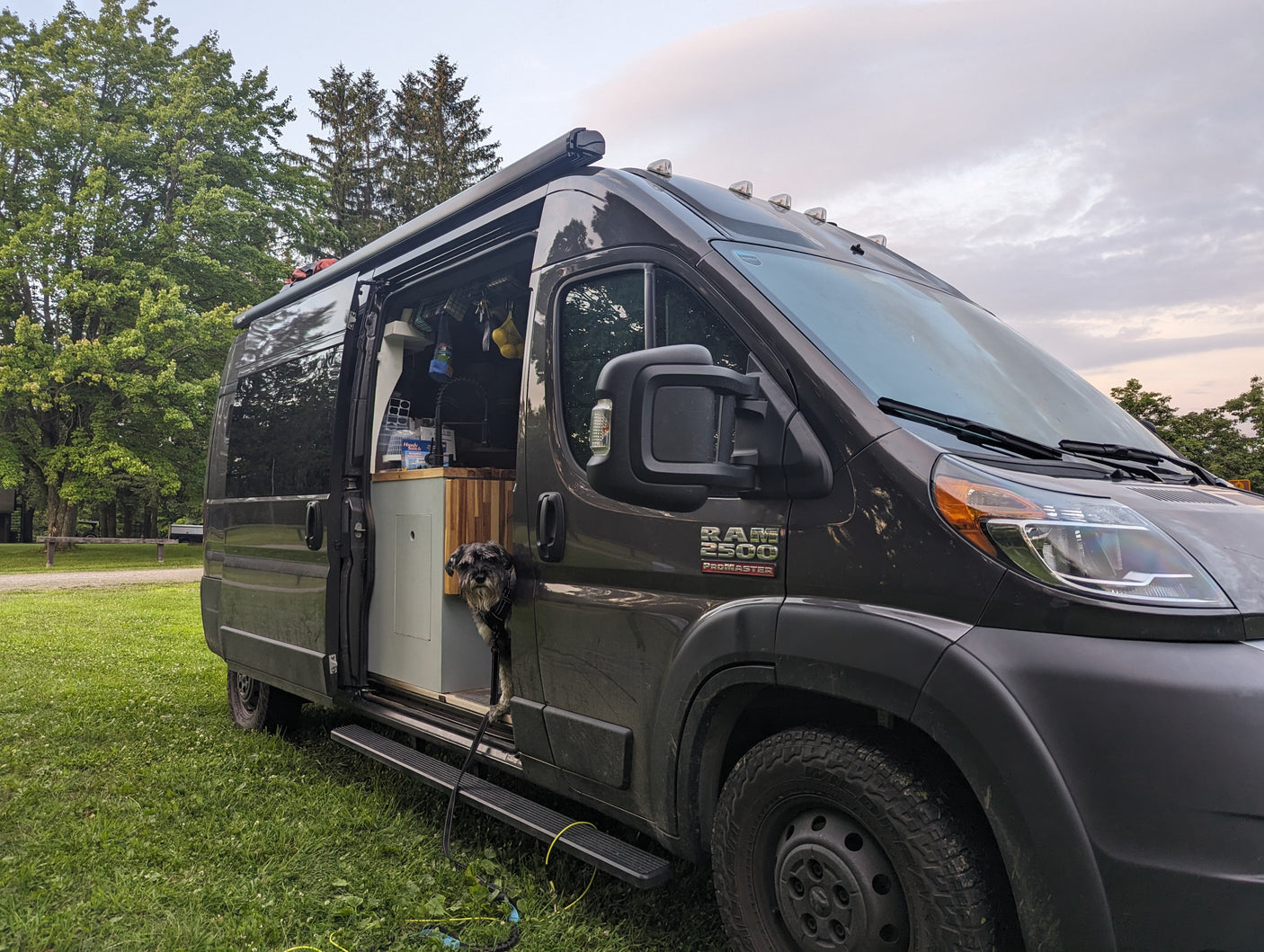 A dark gray Ram ProMaster camper van RV rental is parked on grass, with a happy dog peering from the open side door at a campsite.