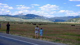 Visitors watch a large bison herd in a scenic national park vista with mountains. Ideal stop for an RV rental.