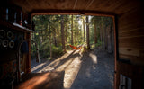 View from an RV rental: a forest scene with a person relaxing in a sunlit hammock. Interior elements visible.