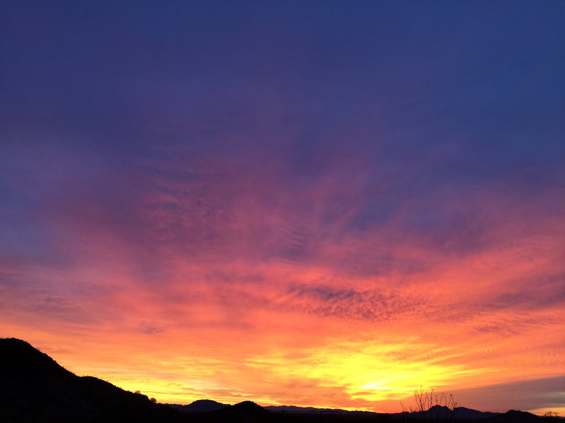  essential for an RV rental road trip — photo 13