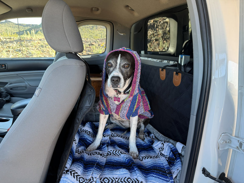Dog in colorful poncho sits comfortably in an rv rental, taking in the scenic desert view through the window. — photo 4