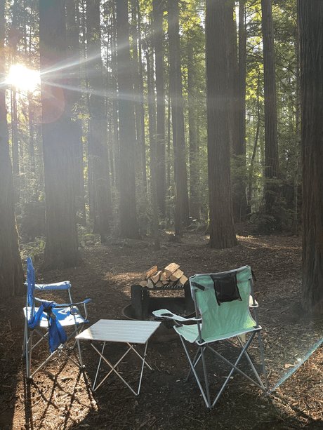 Peaceful forest campsite with chairs, table, and firewood at a fire pit, bathed in sunlight. Great for RV rental stays.