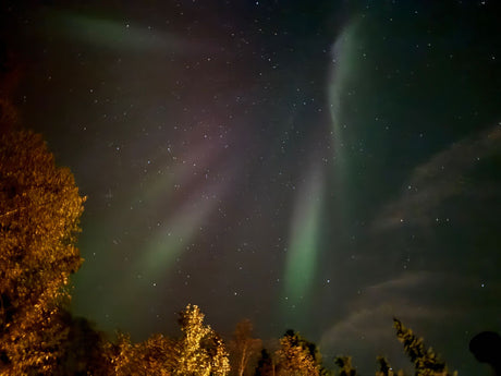 Vibrant green & purple aurora dance in a star-filled night sky, with glowing trees below. Ideal for an RV rental trip.