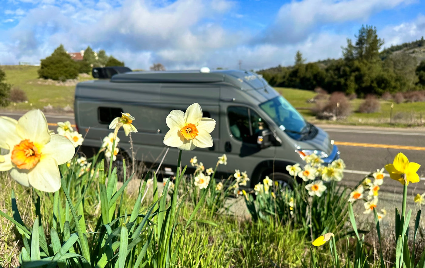 a perfect rv rental — photo 3