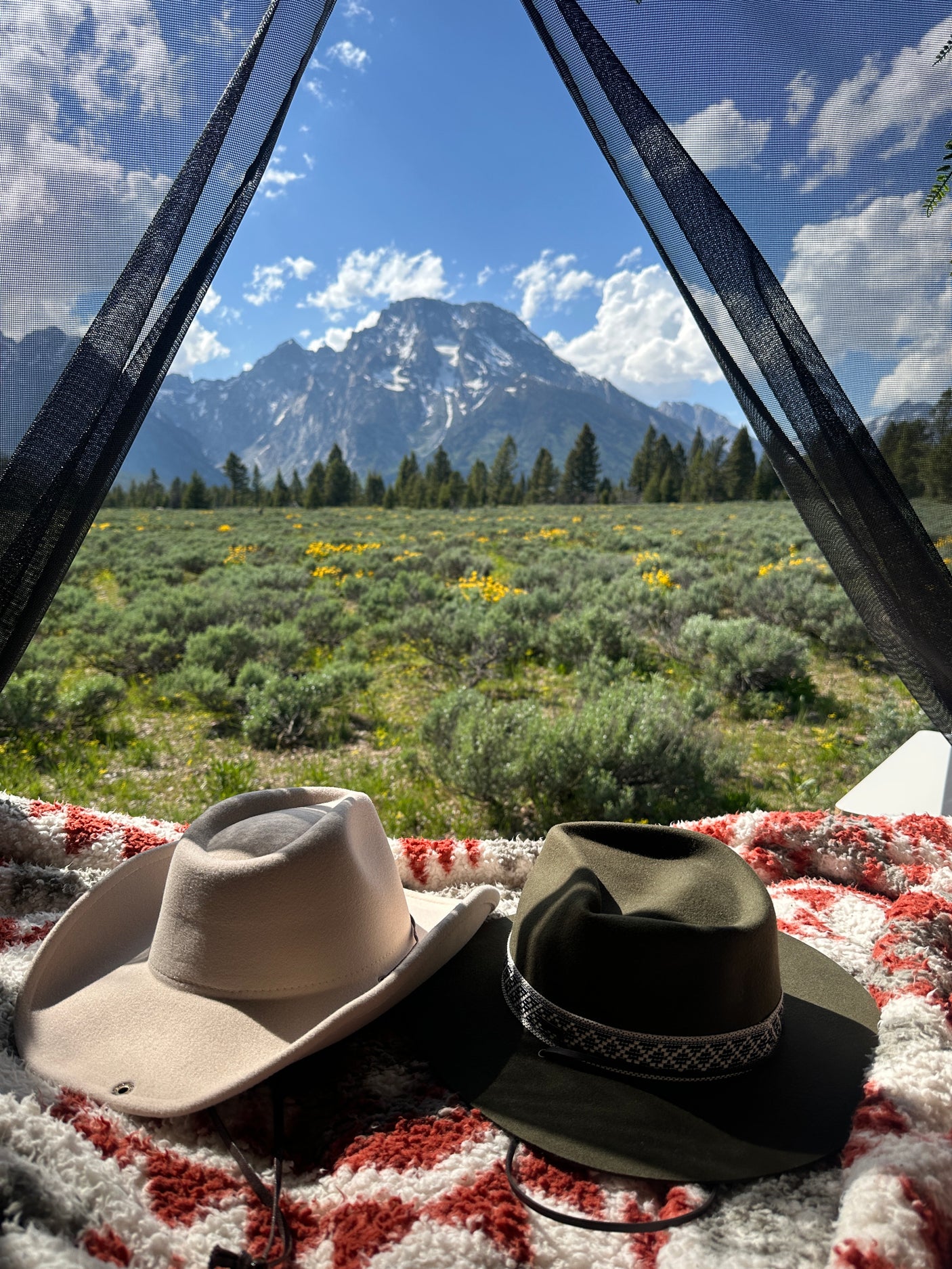 RV rental camping offers views like this! Two hats inside, majestic mountains and a green field beyond the mesh screen.