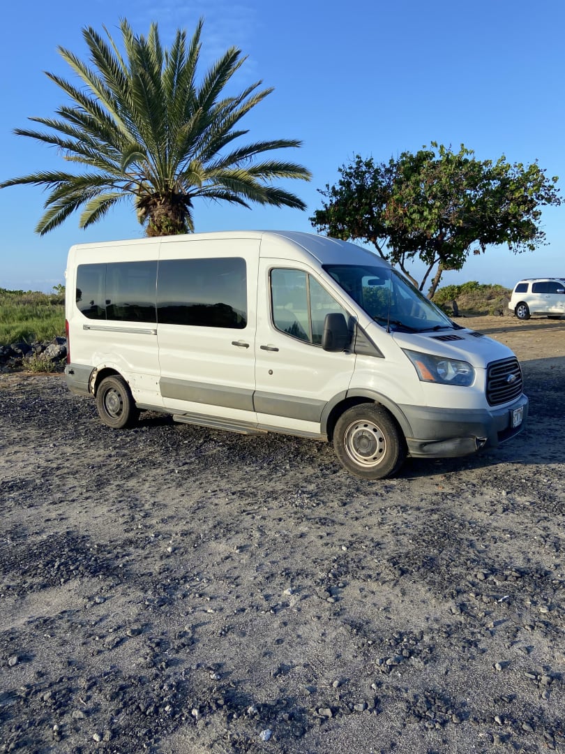 A white van, likely an RV rental, is parked on a gravel lot with a palm tree under a clear blue sky.