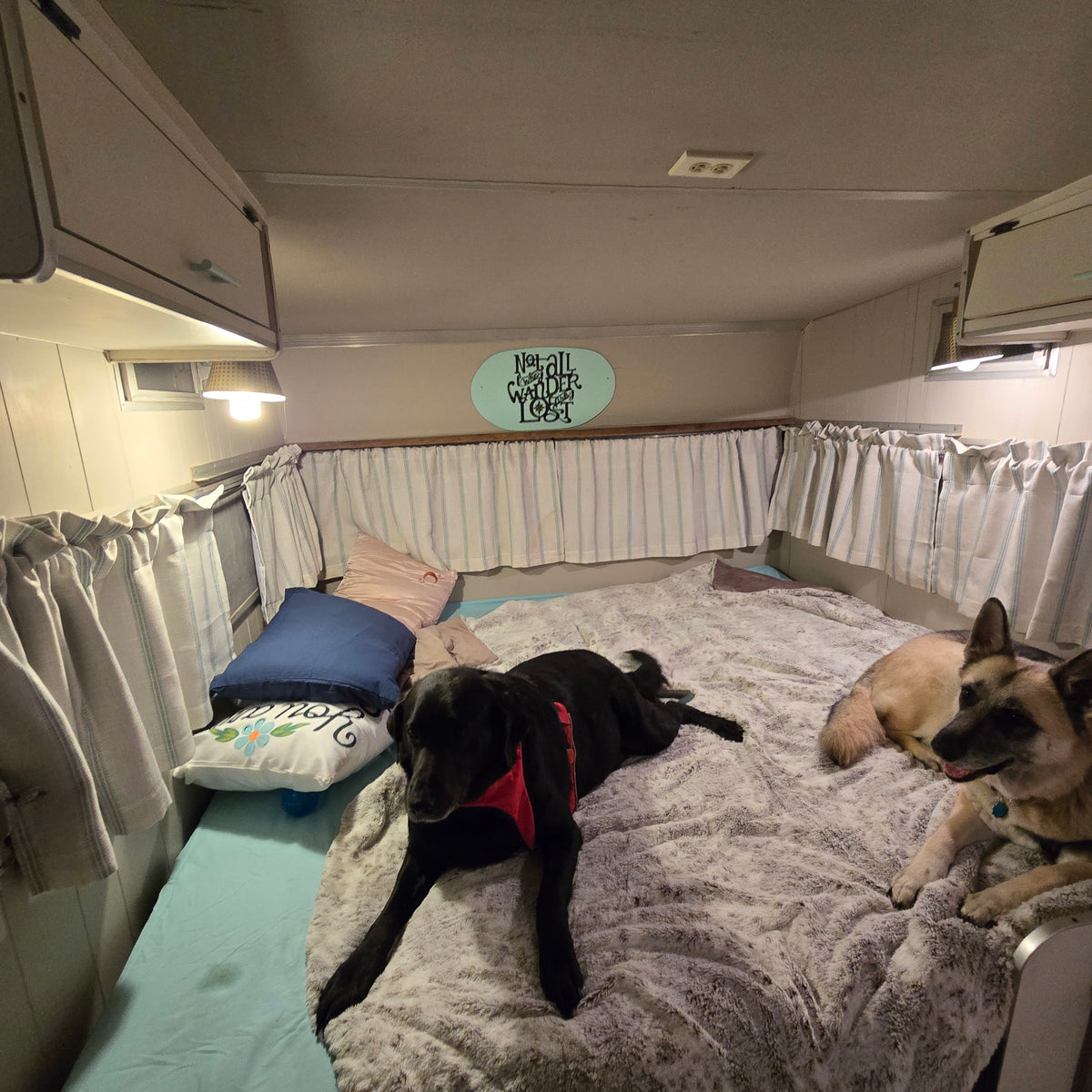 Two happy dogs relaxing on a cozy bed in a pet-friendly RV rental, perfect for your next travel adventure. — photo 4