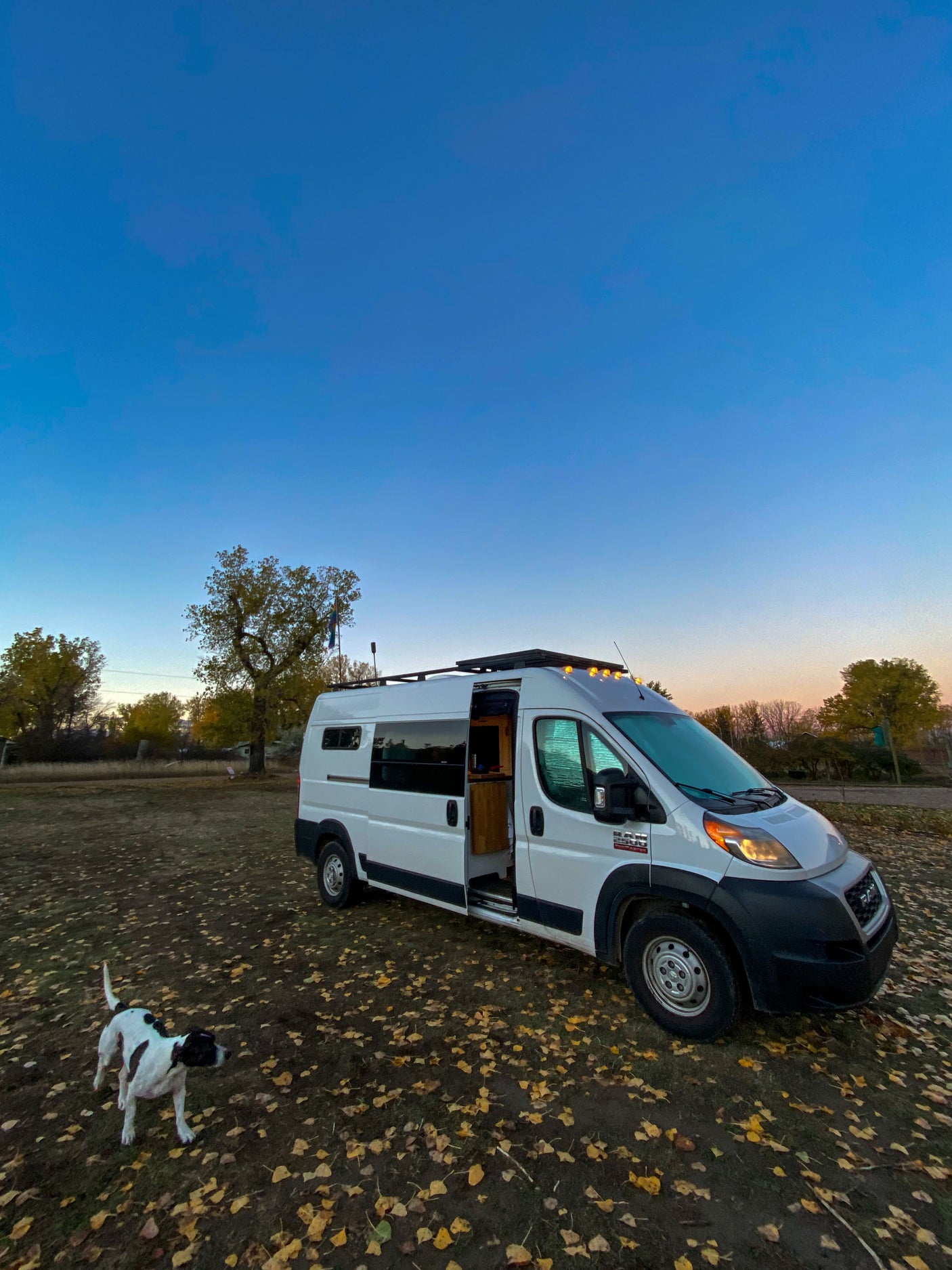 Spacious RV rental van with open door & amber roof lights at dusk. A dog explores the autumn leaves.