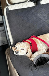 A cream-colored dog in a red harness rests in its black quilted pet bed inside an rv rental.