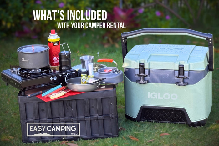  sits on sand near mountains & a large tree.|Inside a comfortable rooftop tent