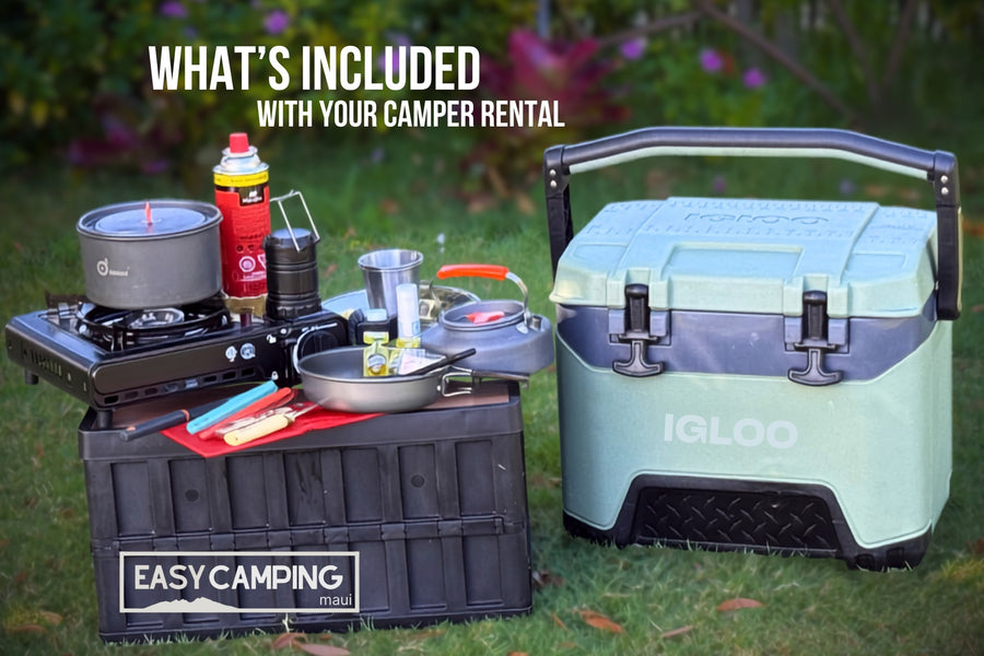  sits on sand near mountains & a large tree.|Inside a comfortable rooftop tent