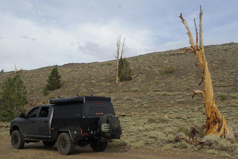 2022 Ram Power Wagon w/ Gofast Camper (4-5 Person) — photo 4