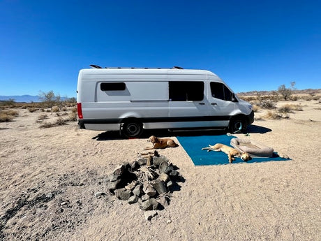 This rv rental van makes desert camping easy! A white camper van, fire pit, and 3 dogs relax on a blue mat in the sand.