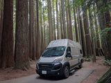 A beige Noovo RV rental camper van parked on a paved site amidst towering redwood trees, with sun filtering through the forest.