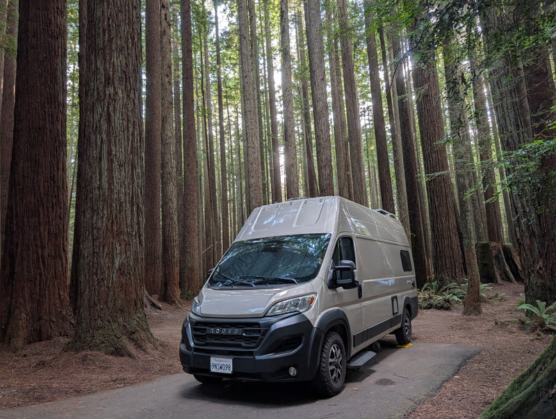 A beige Noovo RV rental camper van parked on a paved site amidst towering redwood trees, with sun filtering through the forest. — photo 6