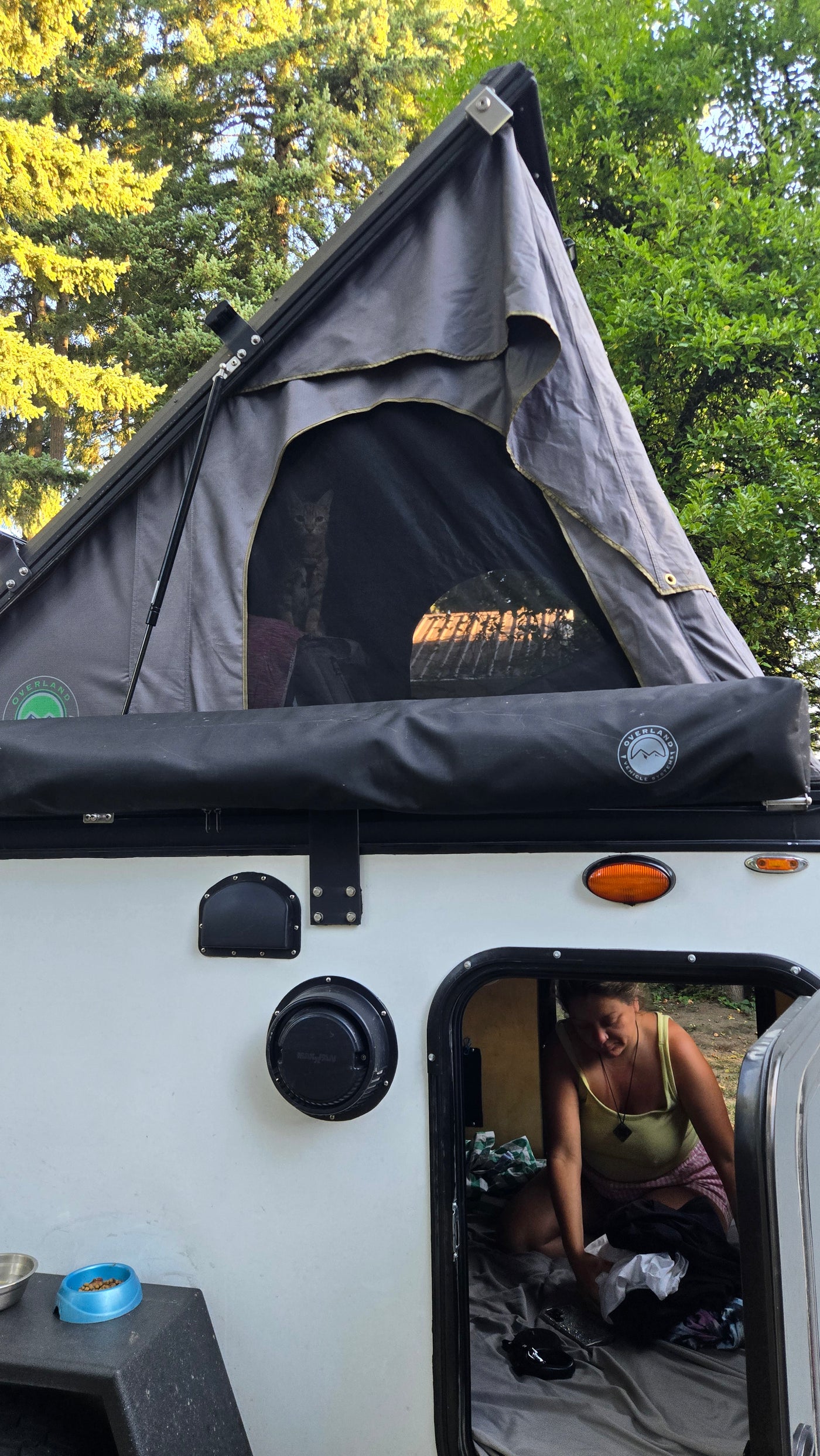 This RV rental is pet-friendly! A cat watches from the rooftop tent, as a person organizes inside the camper. — photo 10
