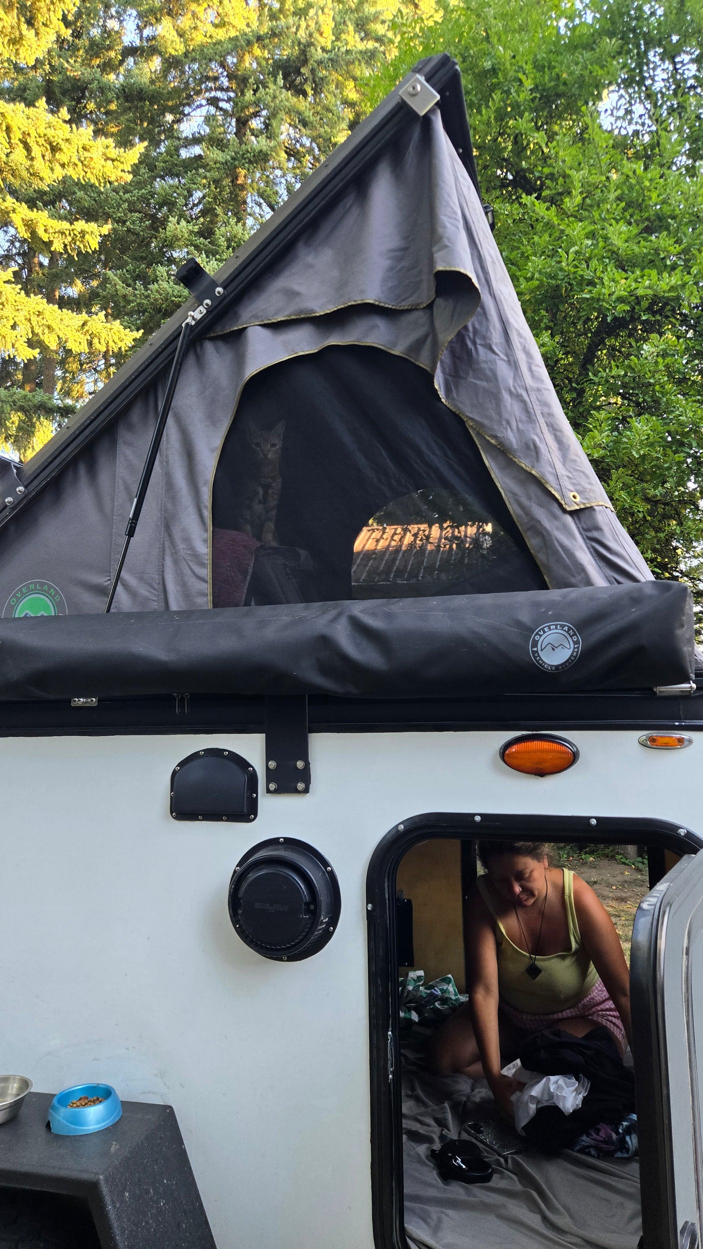 This RV rental is pet-friendly! A cat watches from the rooftop tent, as a person organizes inside the camper.