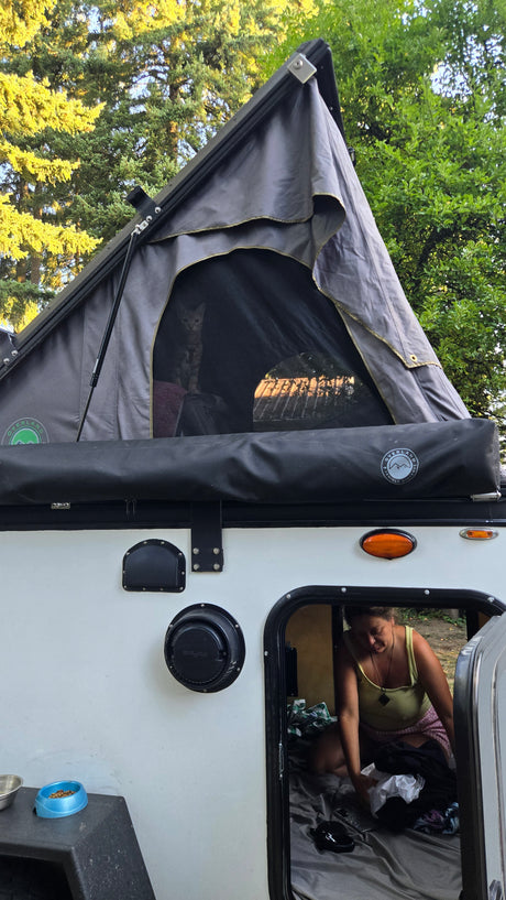 This RV rental is pet-friendly! A cat watches from the rooftop tent, as a person organizes inside the camper.