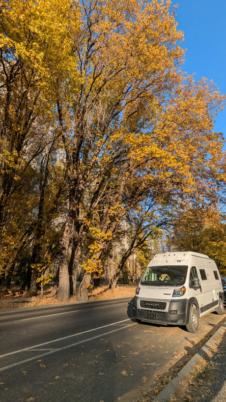 White camper van (rv rental) parked on a sunlit road, framed by tall trees with brilliant golden autumn leaves under a blue sky.