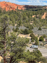 Experience nature's beauty with an RV rental! A light grey camper van drives through a stunning red rock and pine forest landscape.