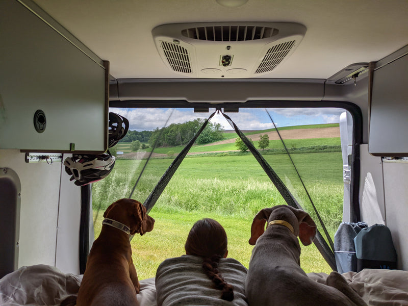 Inside a spacious rv rental, two dogs and a person gaze out at vast green fields. Perfect for pet-friendly road trips! — photo 19
