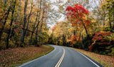 Scenic autumn road through vibrant fall foliage, ideal for an RV rental road trip.