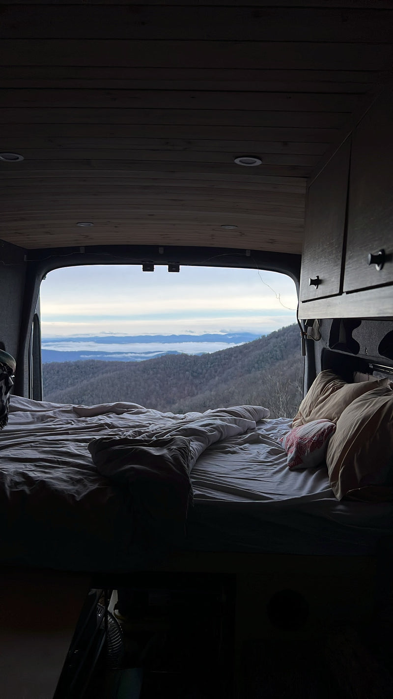  comfy bed — photo 10