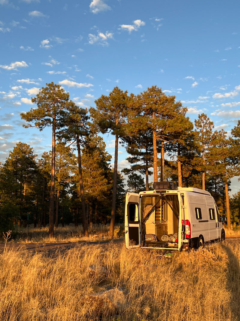  a person gazes at the golden field and distant view.|White RV rental van parked in sunlit golden grass within a pine forest — photo 6
