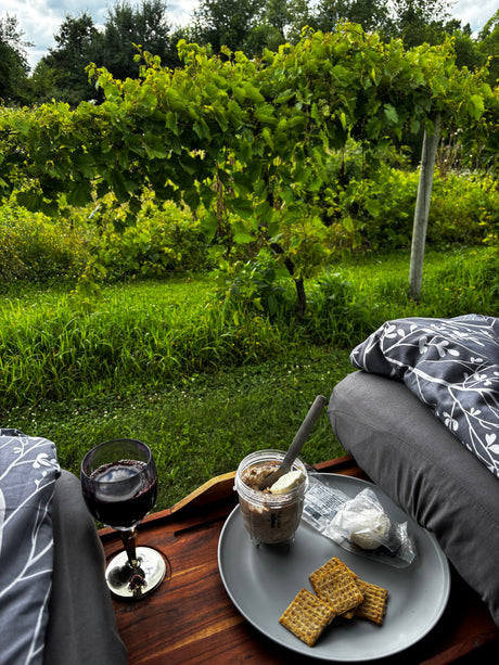 RV rental comfort: Enjoying wine, crackers, and spread on a cozy lap tray with lush vineyard views, perfect for a relaxing nature escape.